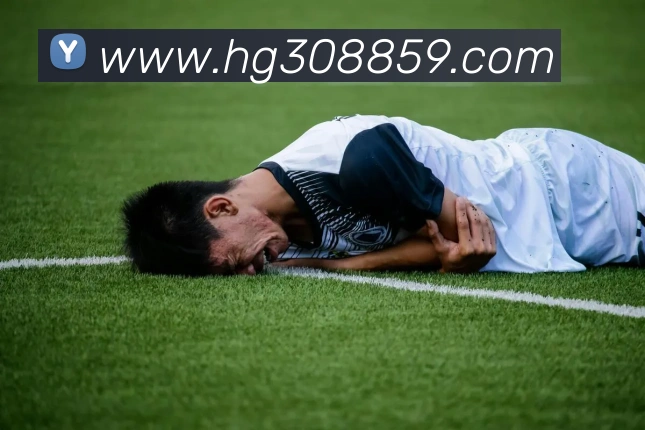 多彩内容专区